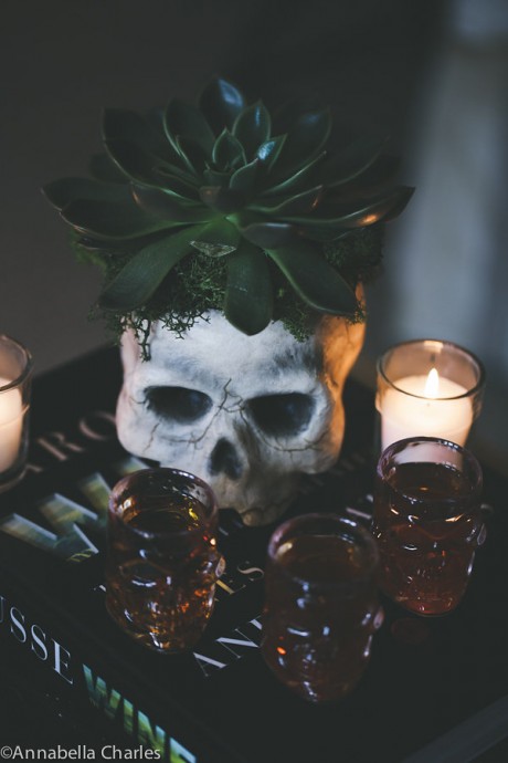 Succulents and Skulls Halloween Cocktail Party